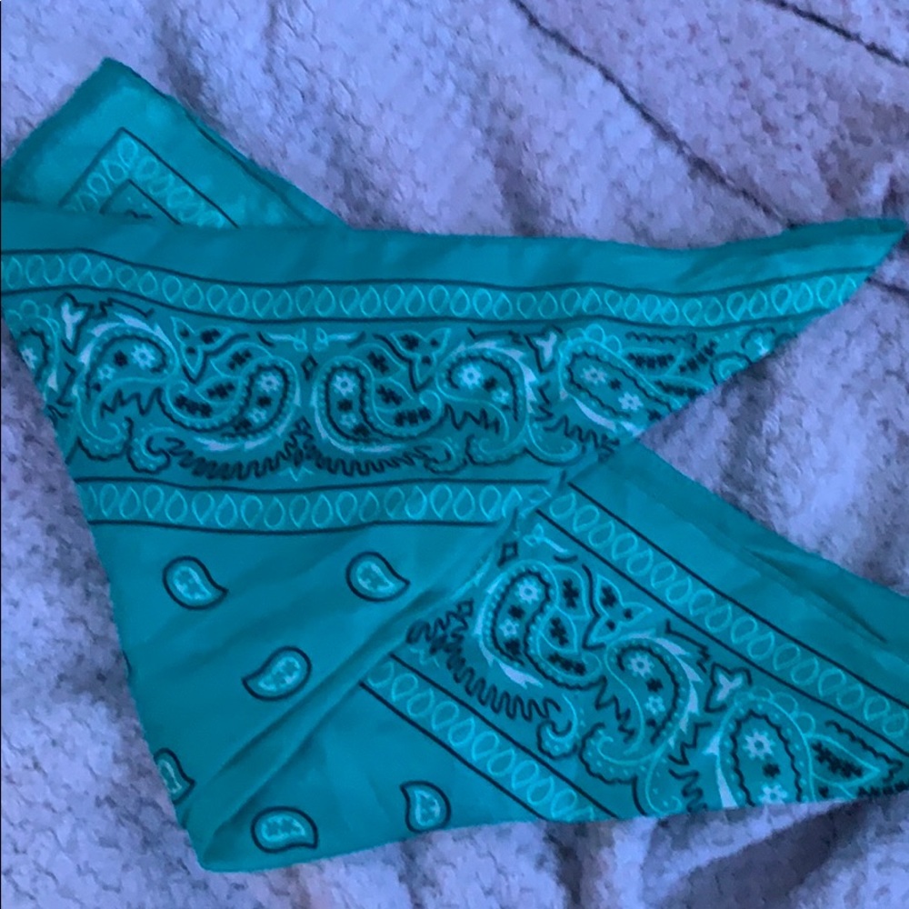 Bandanna - Picture 2 of 3